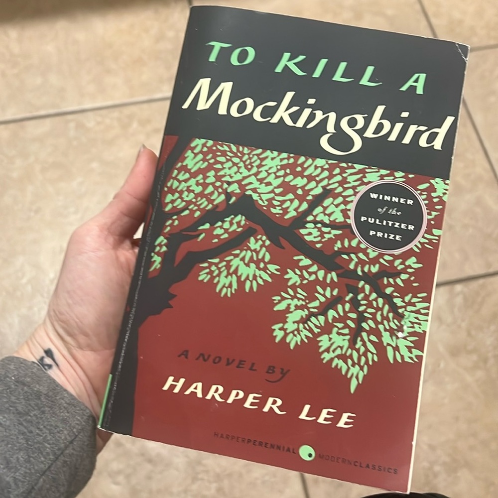 To Kill  a Mockingbird by Harper Lee classic novel paperback book